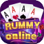 rummy wealth list icon