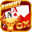 rummy 334 apk download