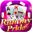 rummy fortune icon